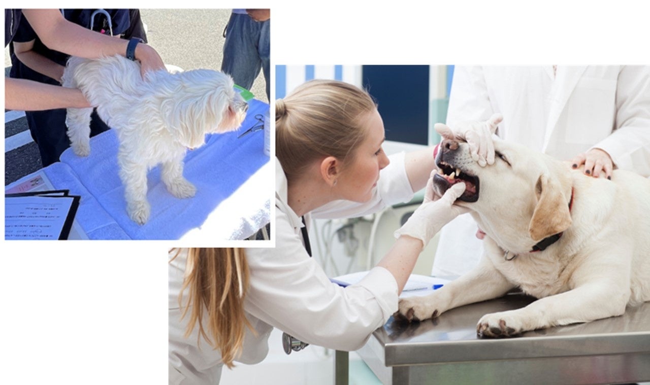 QALポップアップ・クリニック イメージ