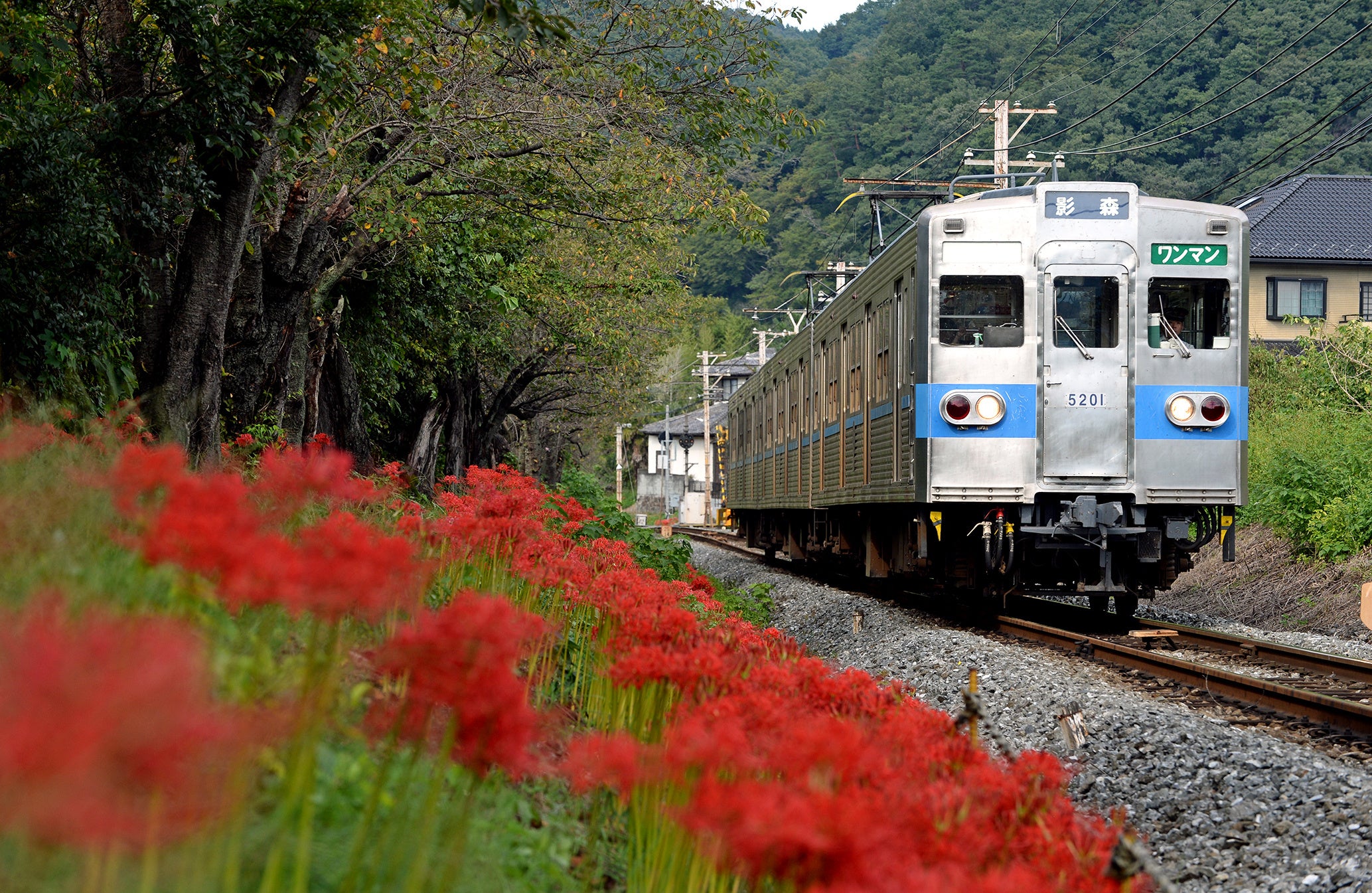 紅葉の名所・長瀞とふかや花園アウトレット タイアップキャンペーン開催長瀞紅葉まつりの後はお得にショッピング！