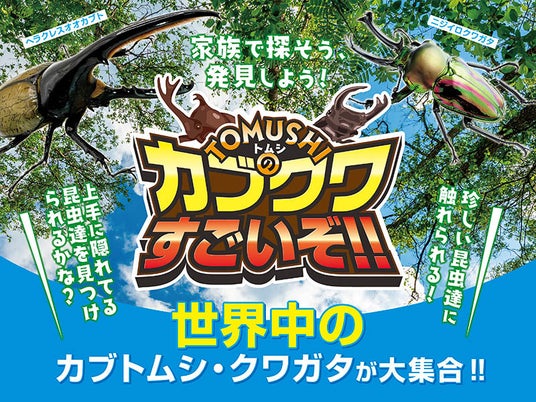 夏休みは「触れて学べる昆虫体験」へ 体験型イベント「カブクワすごいぞ!!」開催@ふかや花園アウトレット 夏休みは「触れて学べる昆虫体験」へ 体験型イベント「カブクワすごいぞ!!」開催@ふかや花園アウトレット