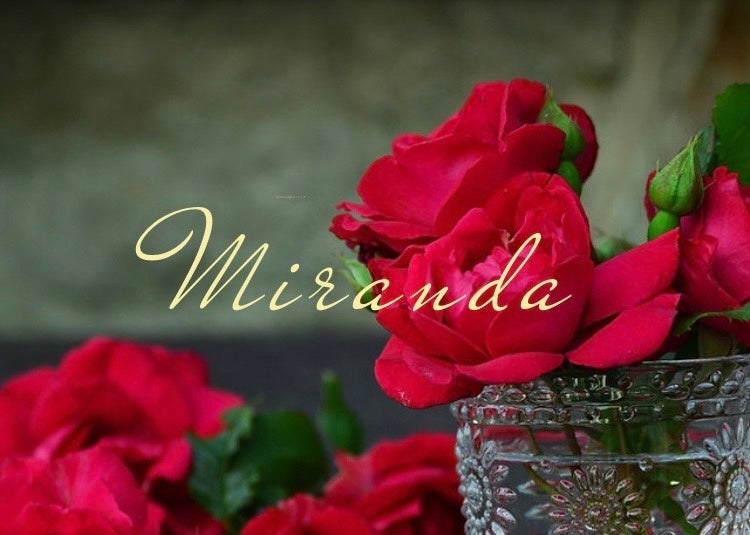 筋肉女子撮影会Miranda