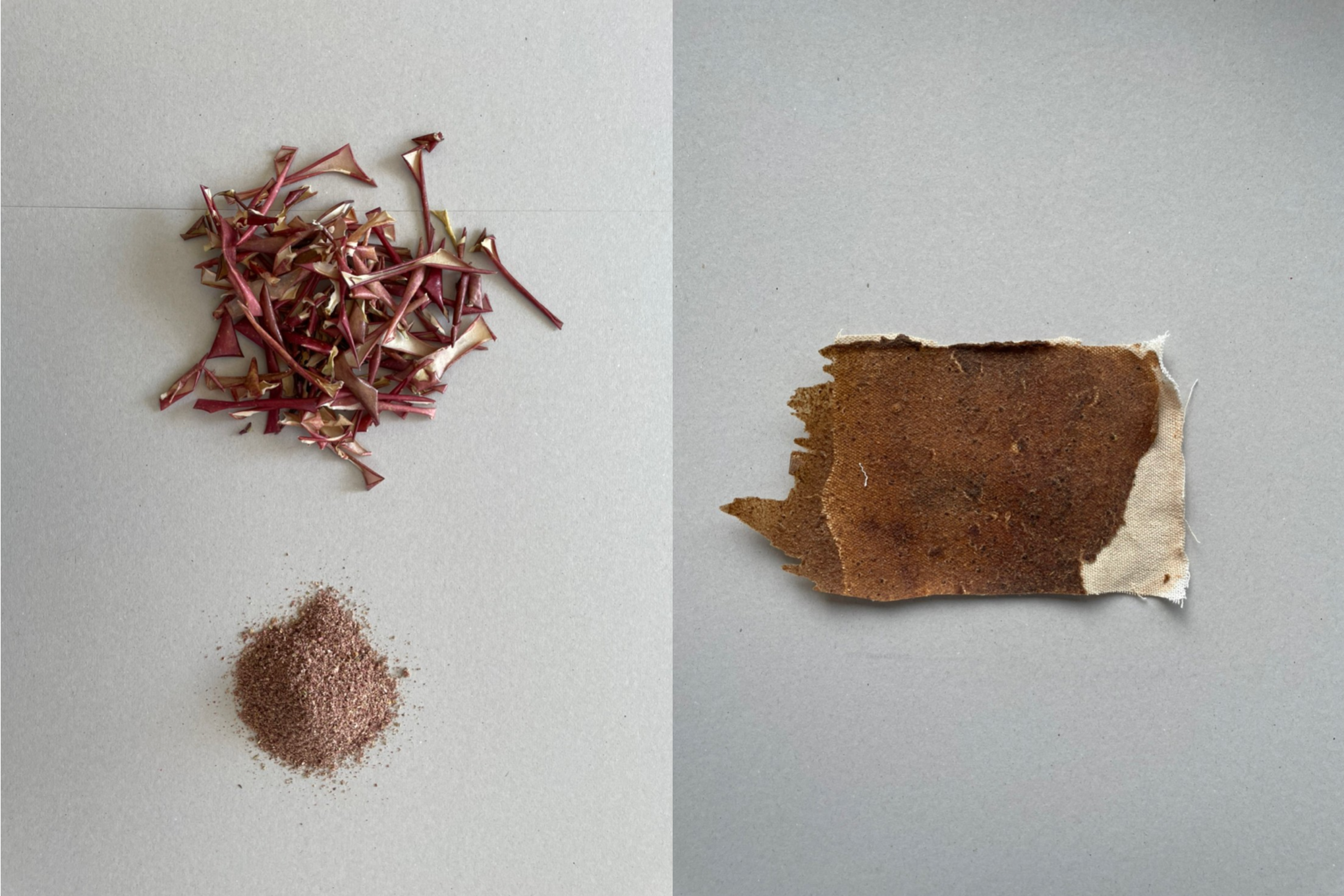 りんごの革、残渣、Adamプロトタイプ