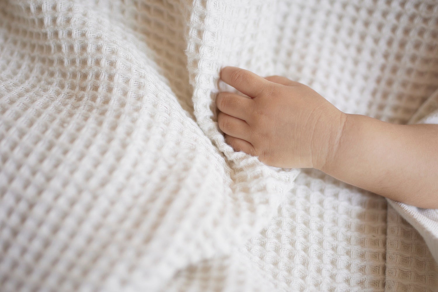 洗いたてのほやほやって、 とっても気持ちがいい