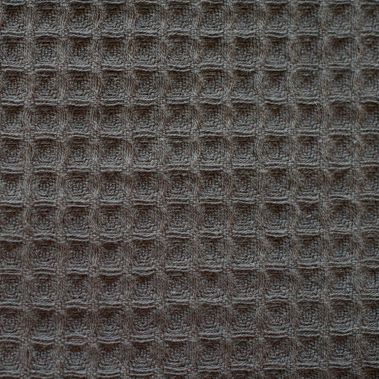 サスティナブルな天然繊維