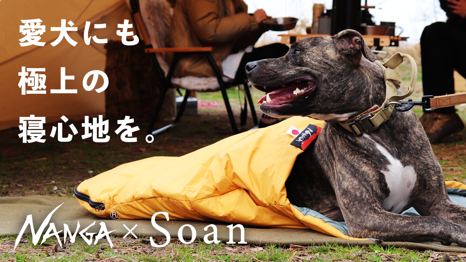 元ナンガ社員考案!【NANGA×Soan】愛犬とキャンプを楽しむ犬用 元ナンガ社員考案!【NANGA×Soan】愛犬とキャンプを楽しむ犬用