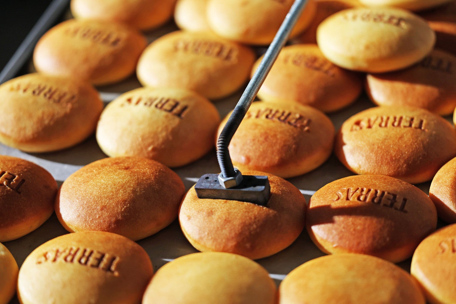 TERRASクリームパン