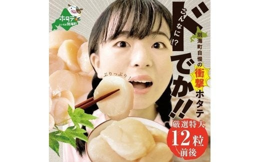 北海道野付漁協加工・産地直送！【特大ほたて】500g