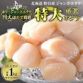 【希少なジャンボホタテ!】 特大LL-Lサイズ 冷凍ほたて貝柱1kg 北海道野付産