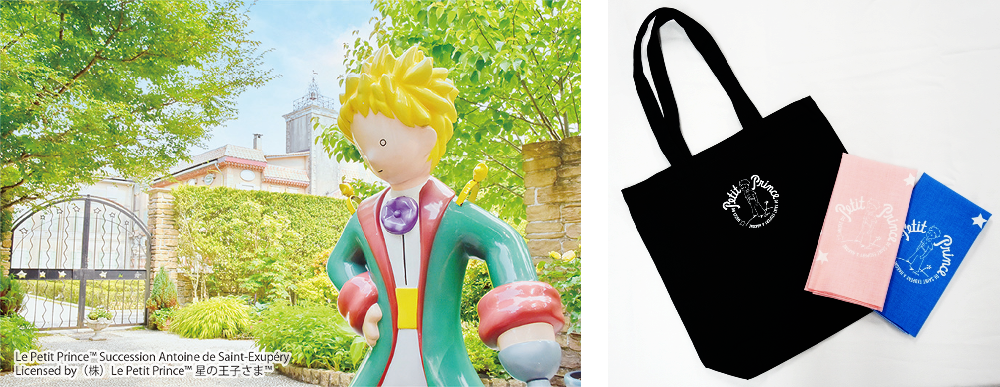 おうさま様の使用品です Amazon.co.jp: 星の王子さま 80周年記念・愛蔵版 : アントワーヌ・ド