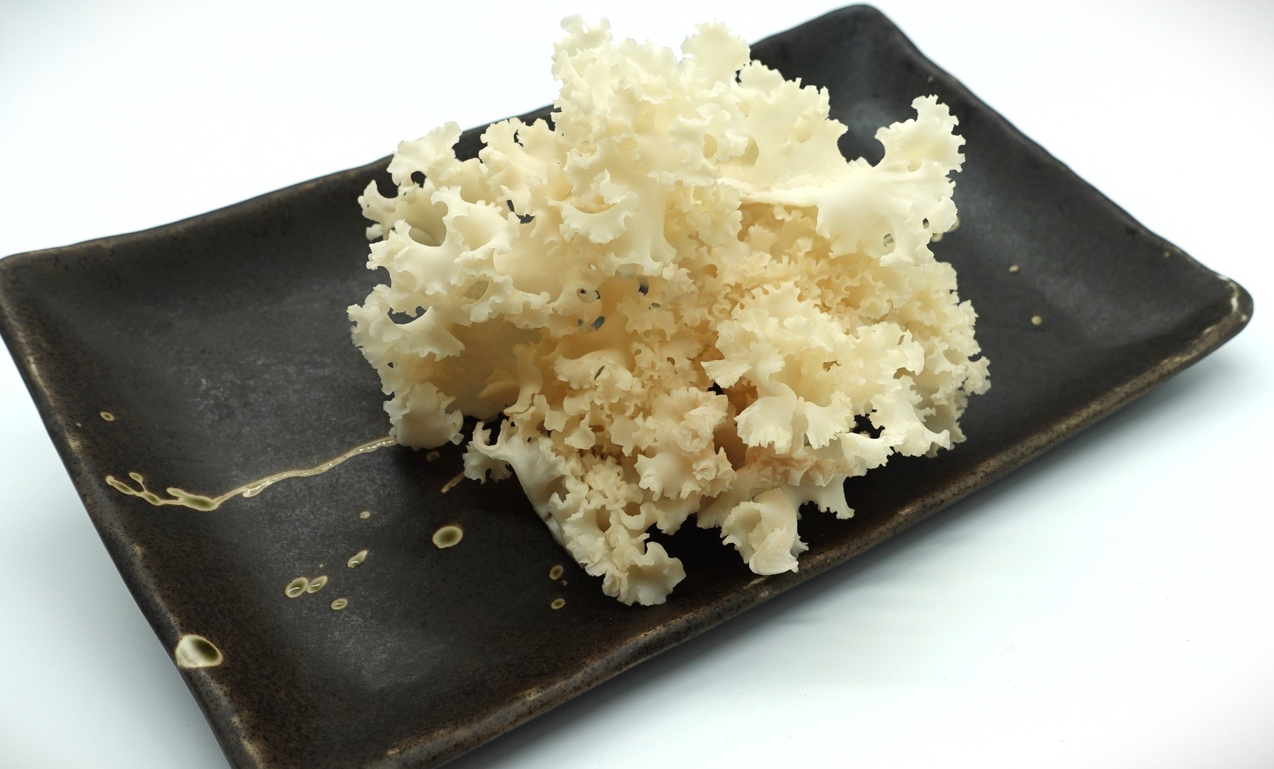 京昌園「ホホホタケ」単品