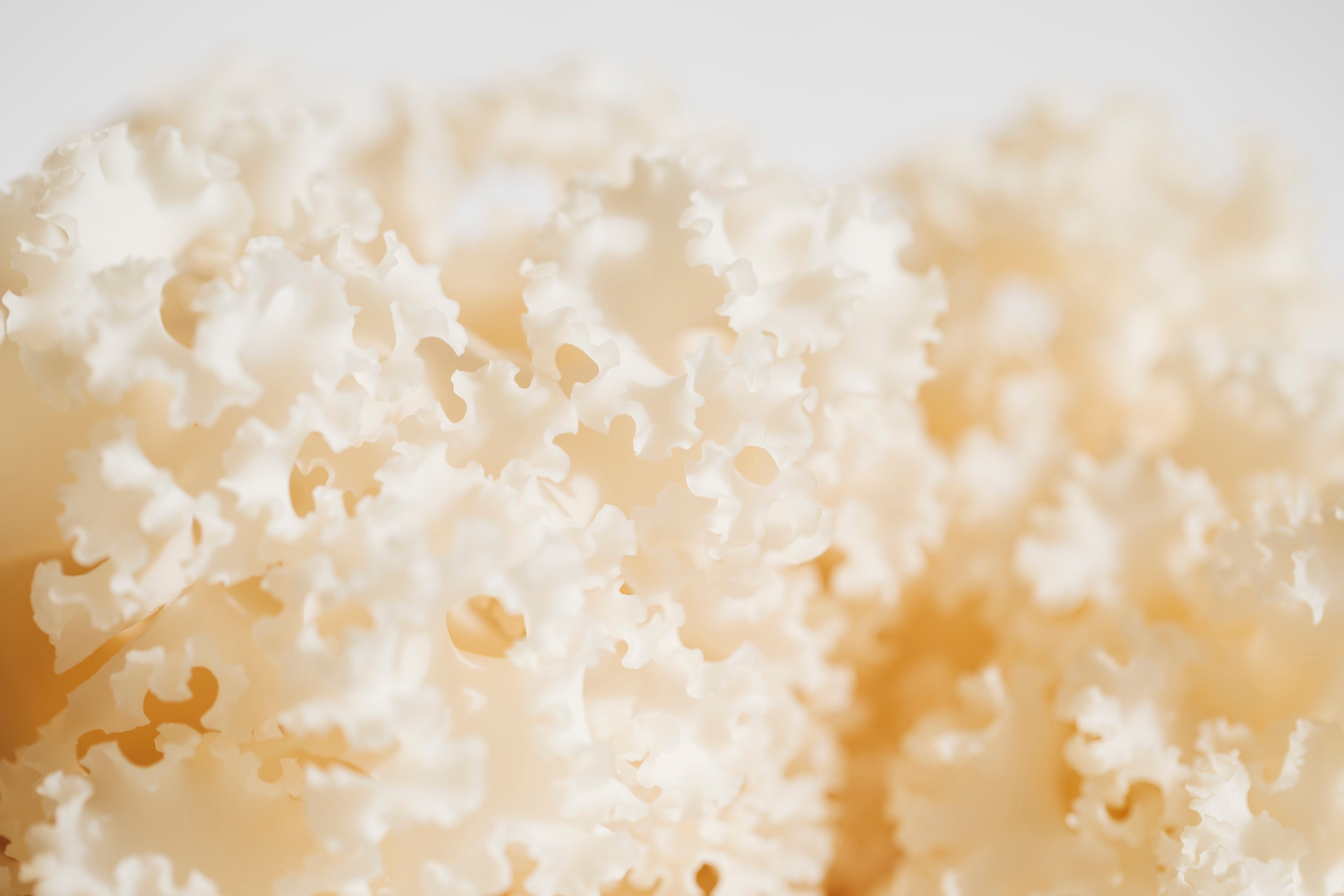 大井川電機製作所のはなびらたけ「ホホホタケ」