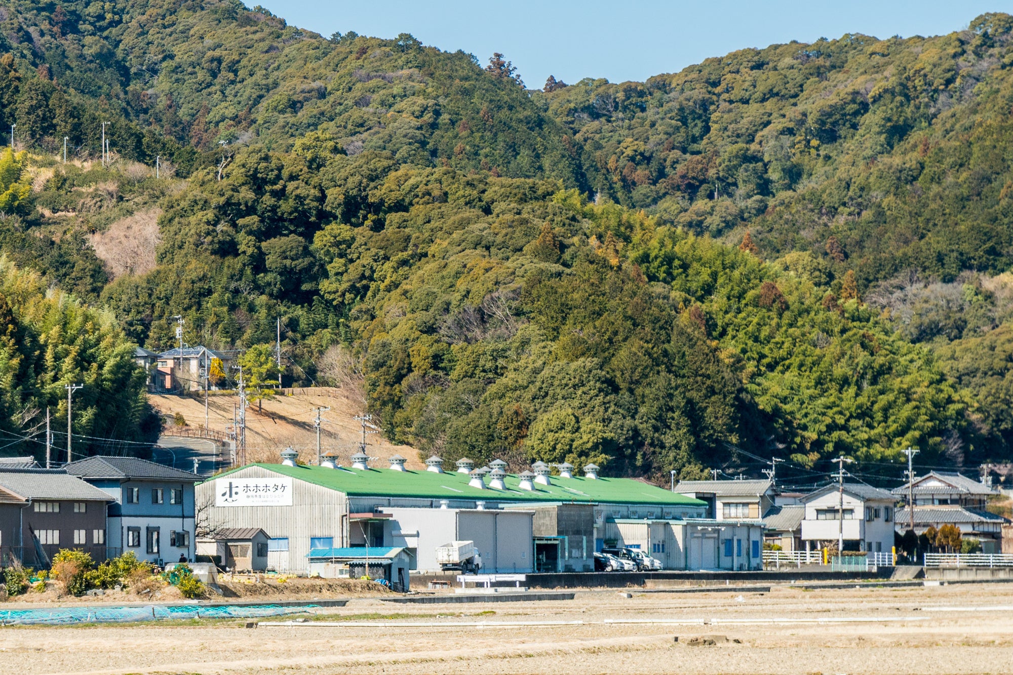 大井川電機の「ホホホタケ」落合生産拠点