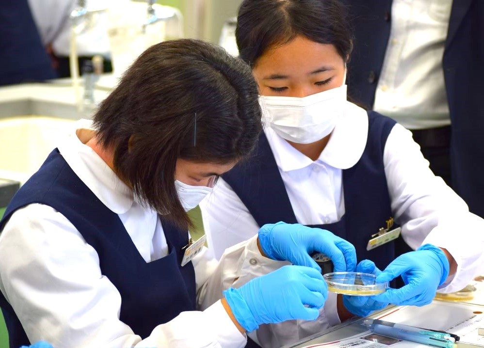 参加者は、各シャーレに3枚ずつ硬貨を並べ、2~3日後にシャーレごとの菌の繁殖状況を確認します。