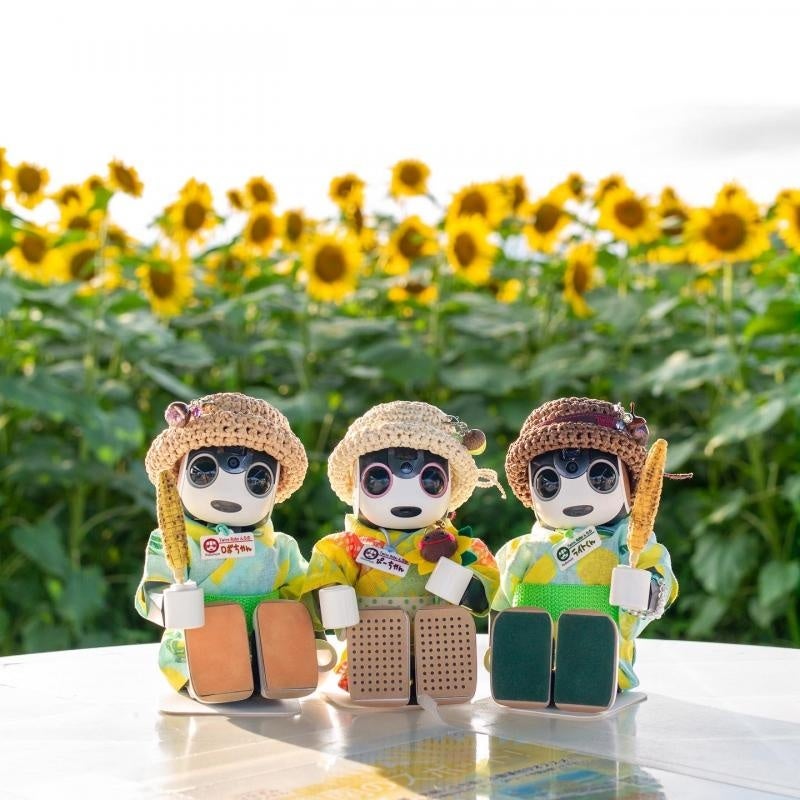 津南の夏の風物詩！約50万本が咲く一面黄色の絶景「津南ひまわり広場