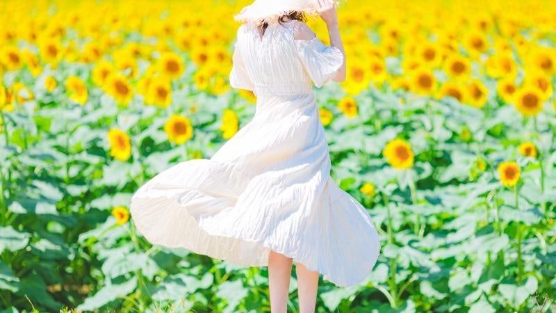 津南の夏の風物詩！約50万本が咲く一面黄色の絶景「津南ひまわり広場