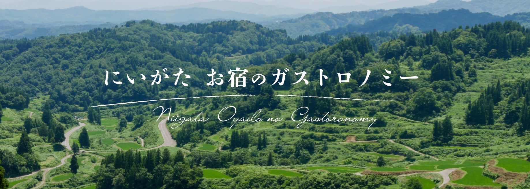 【BIOME Kobe】戸出雅彦 個展「Iro-e: To Be Continued」のご案内