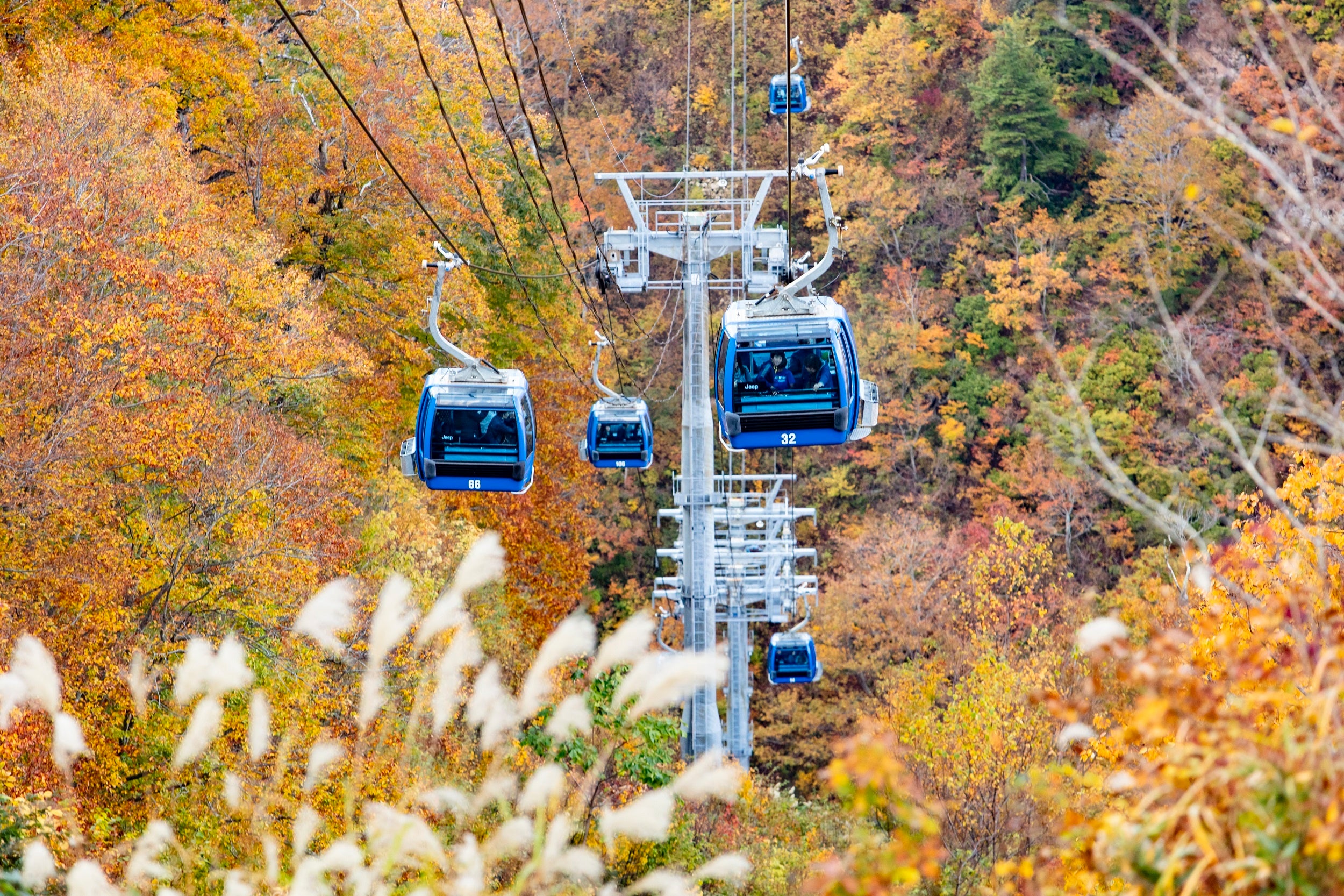 苗場ドラゴンドラ（湯沢町）