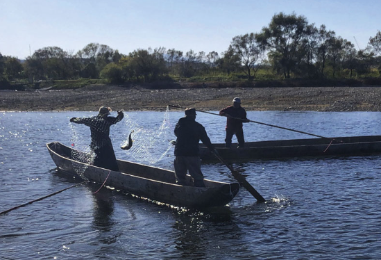 新潟県村上市　鮭漁居操網