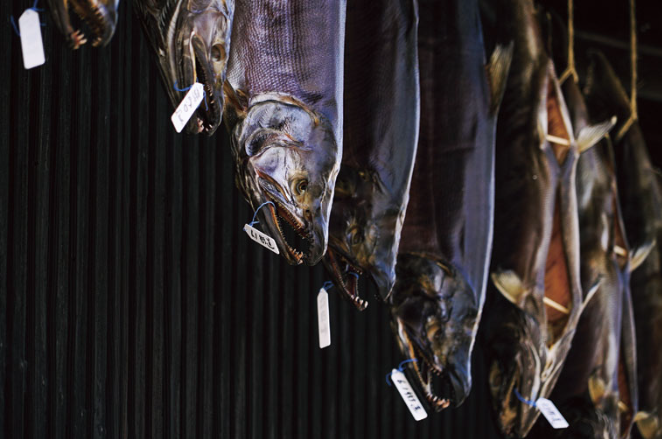 村上市塩引き鮭イメージ