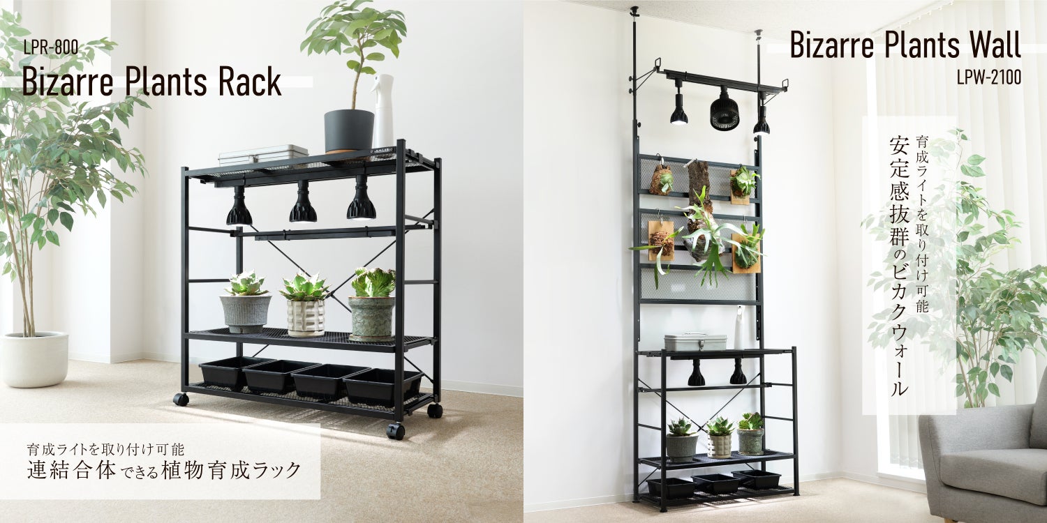 ビカクシダやアガベのための植物棚「ビザールプランツウォール」発売 ビカクシダやアガベのための植物棚「ビザールプランツウォール」発売