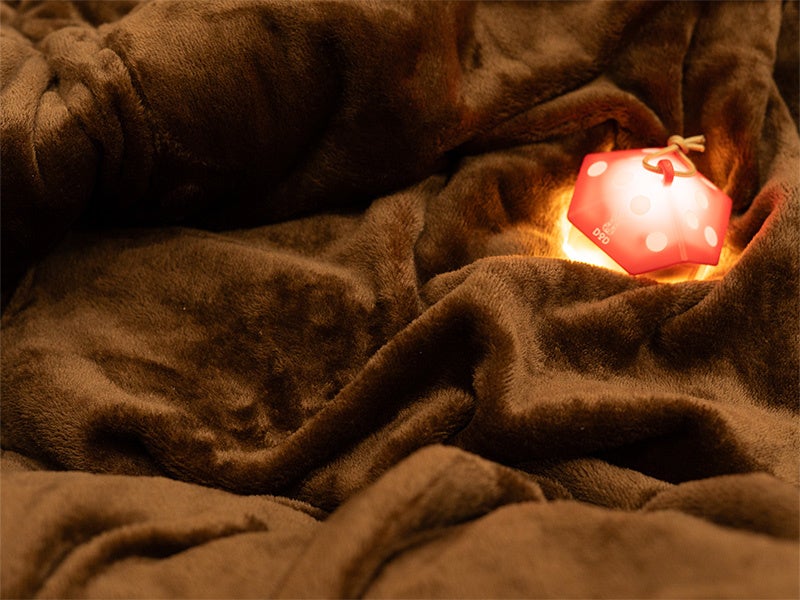 4人で入れる特大寝袋】家族の安心感と毛布の温もりに包まれて眠れる冬