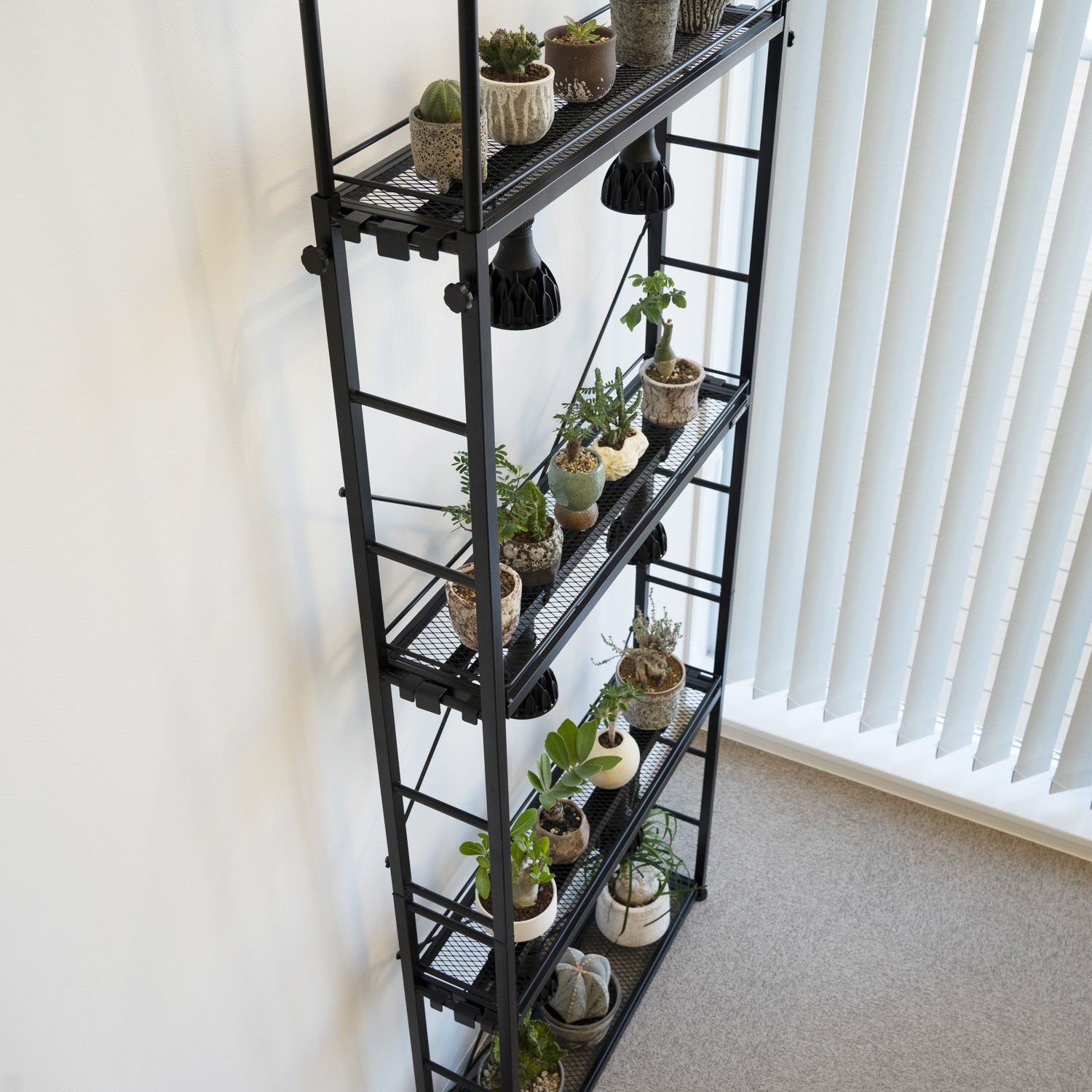 壁面緑化】床から天井まで植物で埋め尽くそう！奥行き20cmスリム