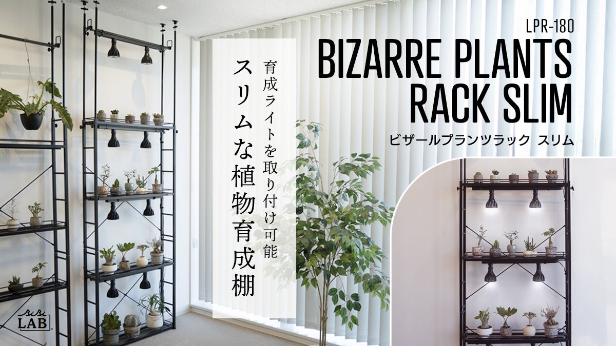 壁面緑化】床から天井まで植物で埋め尽くそう！奥行き20cmスリム