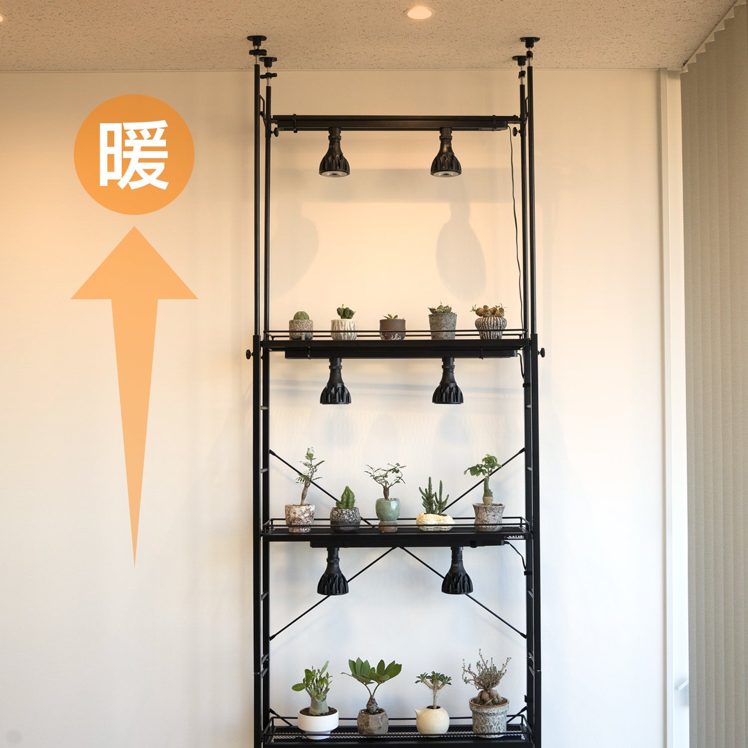 壁面緑化】床から天井まで植物で埋め尽くそう！奥行き20cmスリム