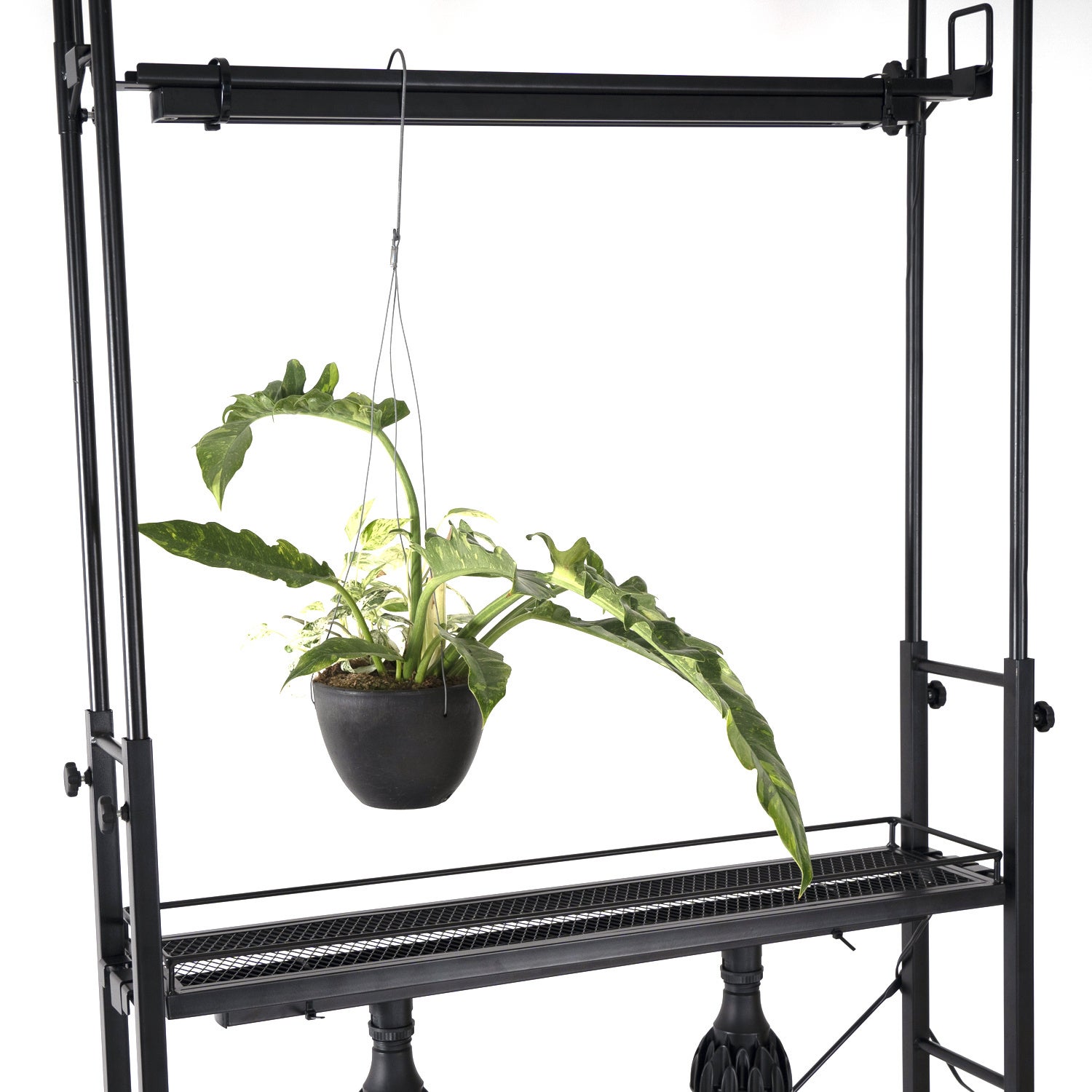 壁面緑化】床から天井まで植物で埋め尽くそう！奥行き20cmスリム×大