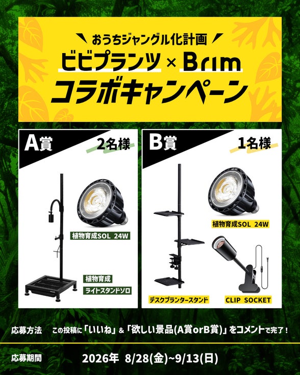 ビーズ株式会社のキャンペーン画像