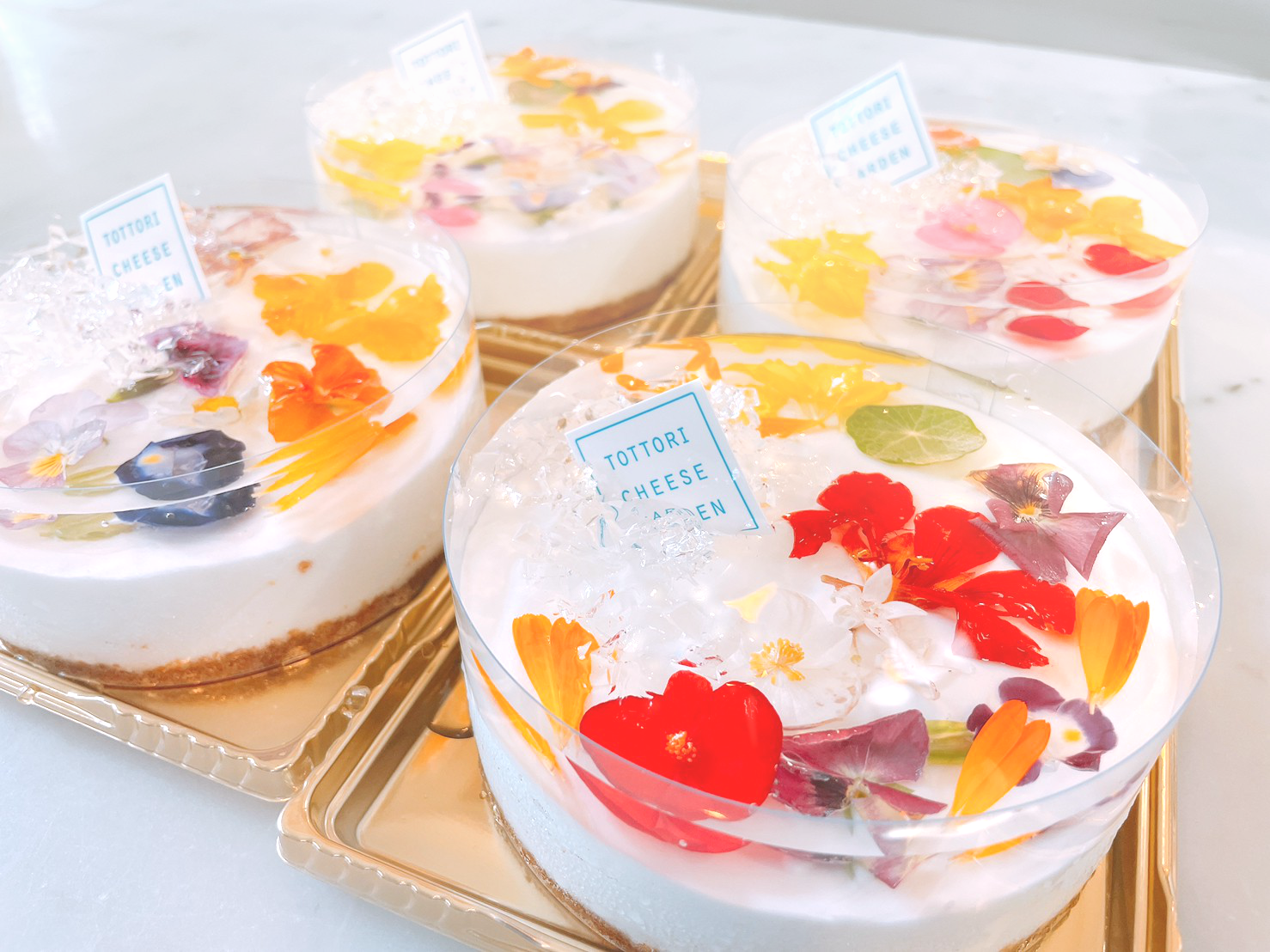 新作チーズケーキが当たる 鳥取の女性向けメディア Tory 公式line開設記念キャンペーン 株式会社webもりのプレスリリース