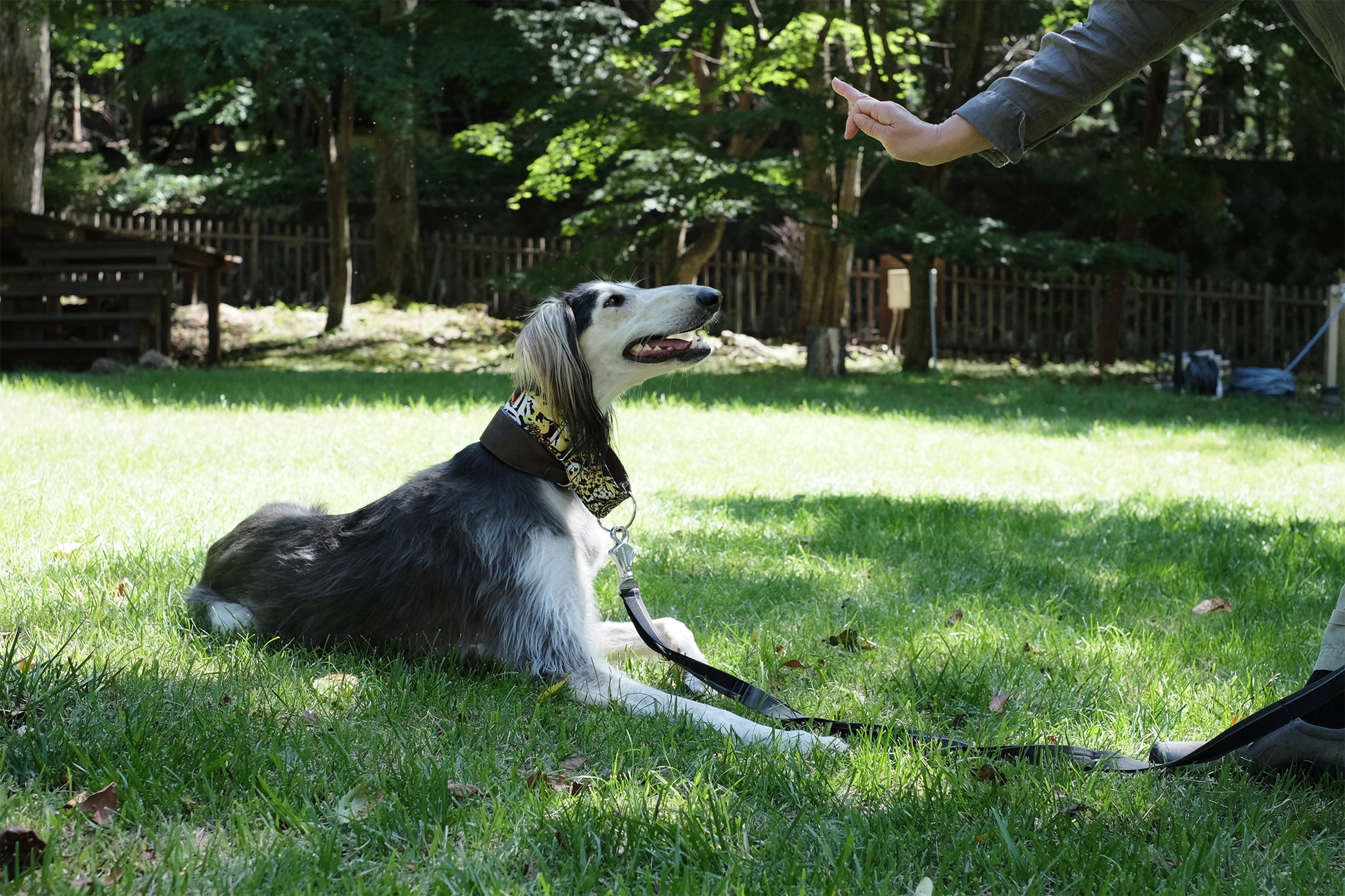 トレーニング中。愛犬もワーケーション!
