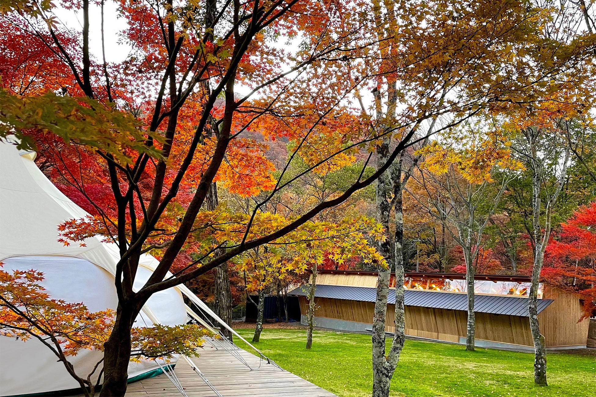 グランピングテントと管理棟