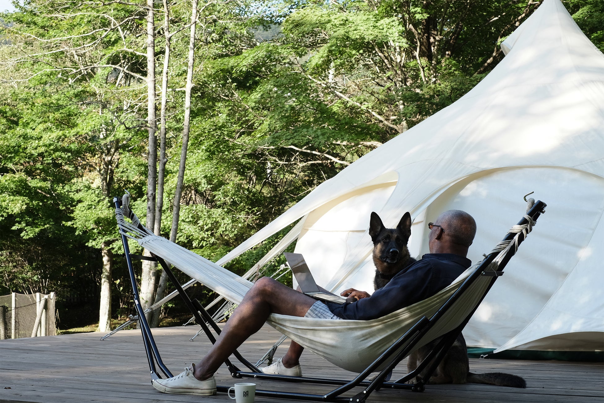 自然の中で愛犬とワーケーション