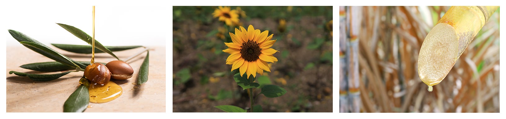 長時間・高保湿を叶える 3種のホールドオイル