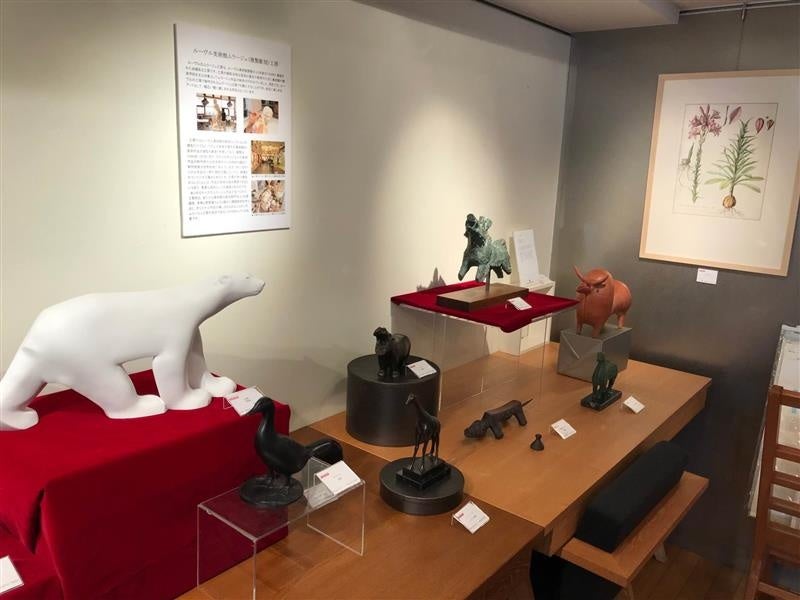 会場写真　白くまのムラージュや王の植物図譜のカルコグラフィー