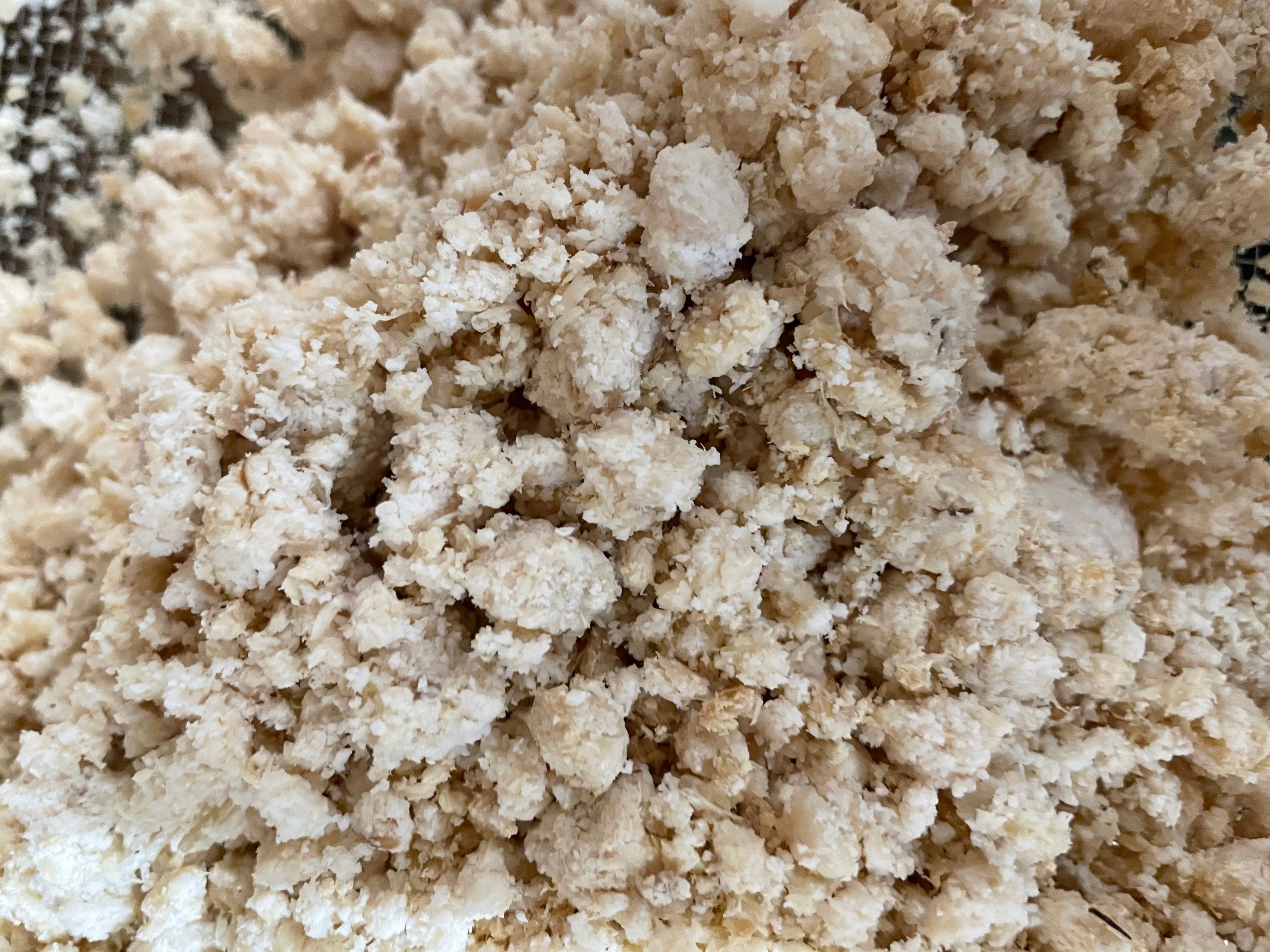 餌の大豆の絞り粕