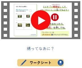 「知る・学ぶ」より　　「綿ってなあに？」