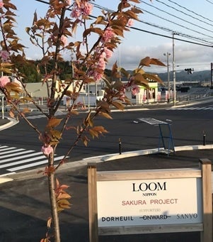 “SAKURA PROJECT” 宮城県南三陸町に植樹した桜の木