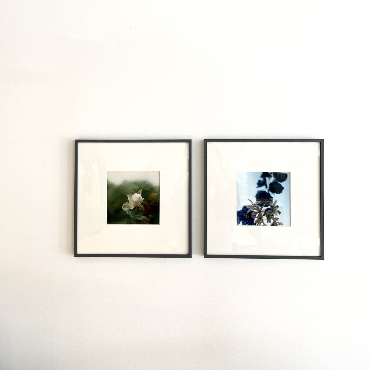 高橋恭司　サイン入り写真　メモリー 高橋恭司 サイン入り写真 メモリー Amazon.co.jp: サイン入700部