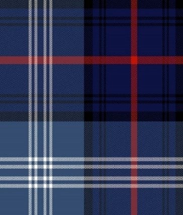 「ザ・スコッチハウス タータン」