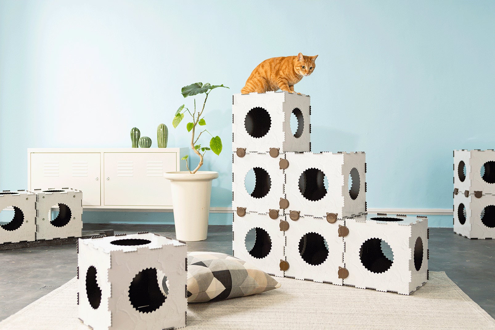 大阪の猫用おもちゃブランド「neuneko」と働く女性向け情報紙「シティ 大阪の猫用おもちゃブランド「neuneko」と働く女性向け情報紙「シティ