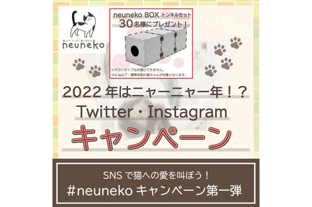 猫とのくらしを一番に考える Neuneko ねうねこ より オリジナル猫用遊具 Neuneko Box がリニューアル 各商社様とのお取引も開始いたします 株式会社ケイパックのプレスリリース 猫とのくらしを一番に考える Neuneko ねうねこ より オリジナル猫用遊具 Neuneko Box がリニューアル 各商社様とのお取引も開始いたします 株式会社ケイパックのプレスリリース
