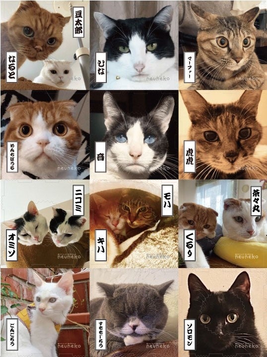 大阪の猫用おもちゃブランド「neuneko」と働く女性向け情報紙