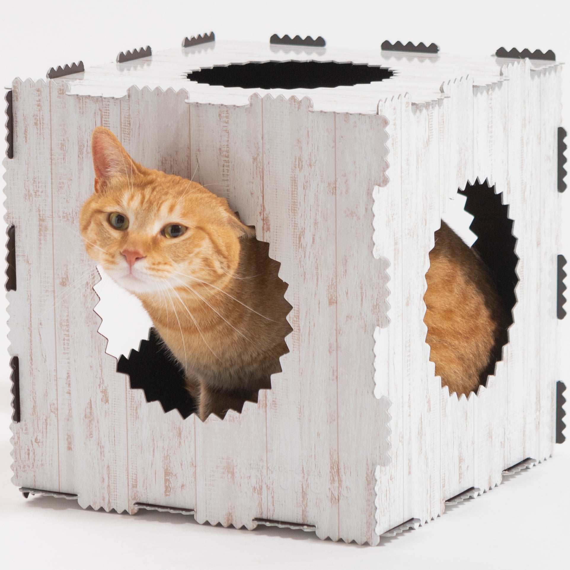 メイドイン大阪、サステナブルな猫用遊具を開発する「neuneko」が日本