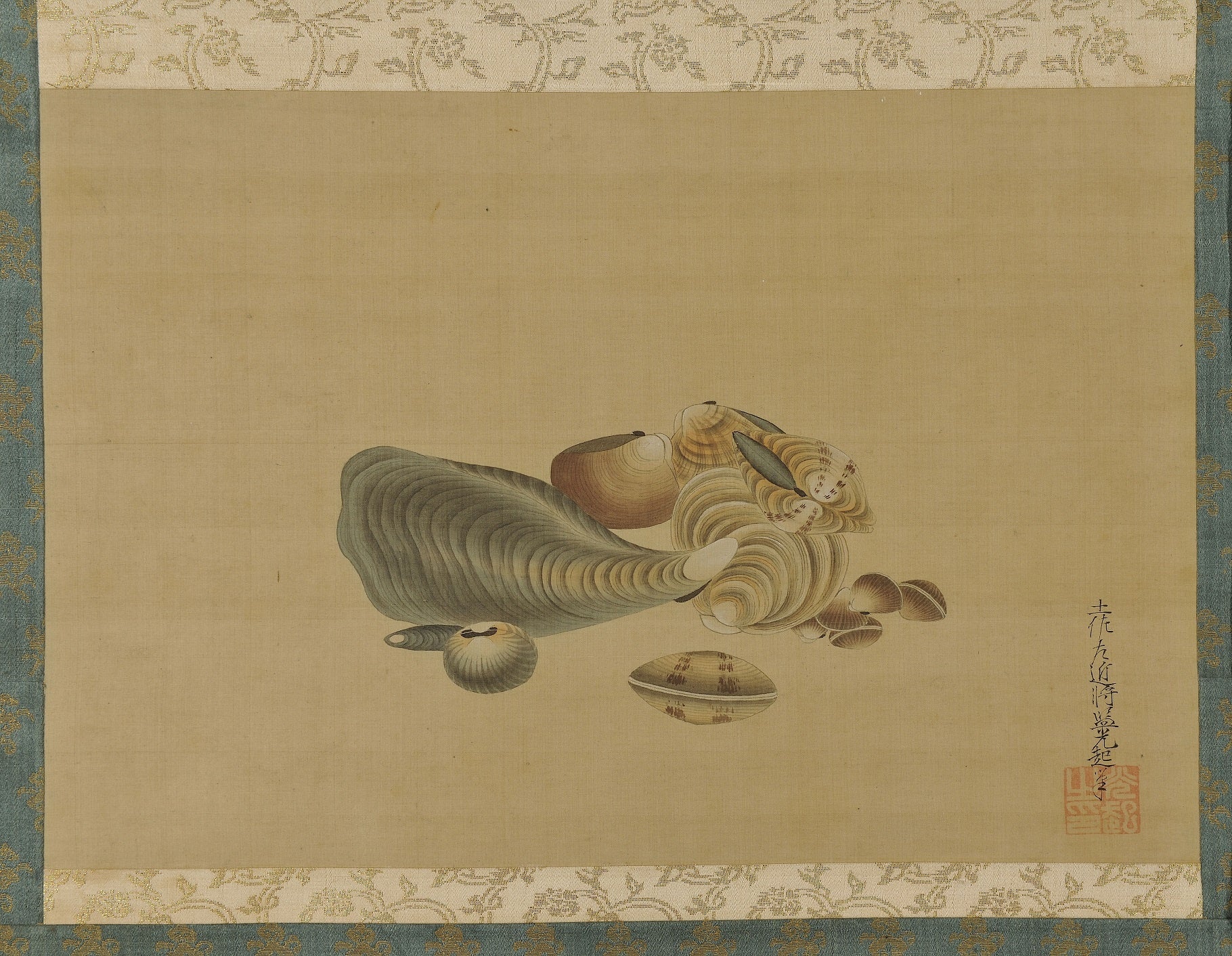 土佐 光起「貝付図」（東京藝術大学所蔵）