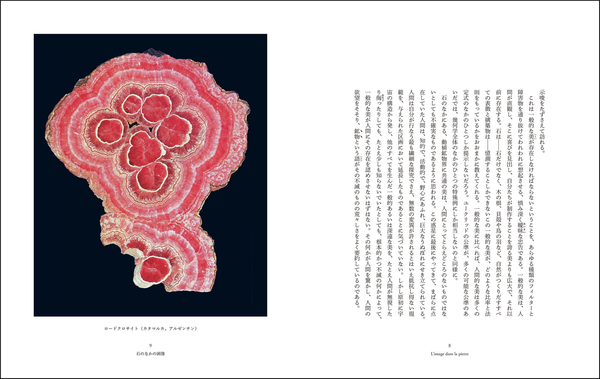 「石のなかの画像」より