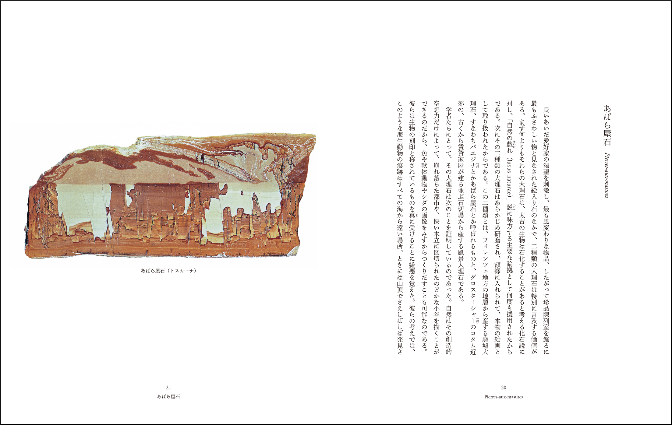 「あばら屋石」より