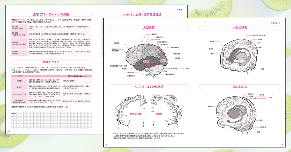 資料編サンプル_1（愛着の発達・脳の構造と機能）