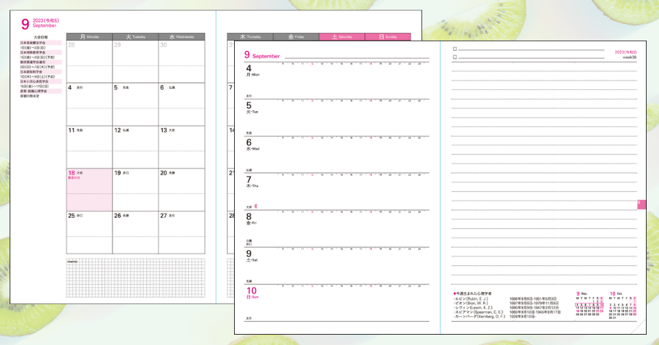 スケジュール欄サンプル