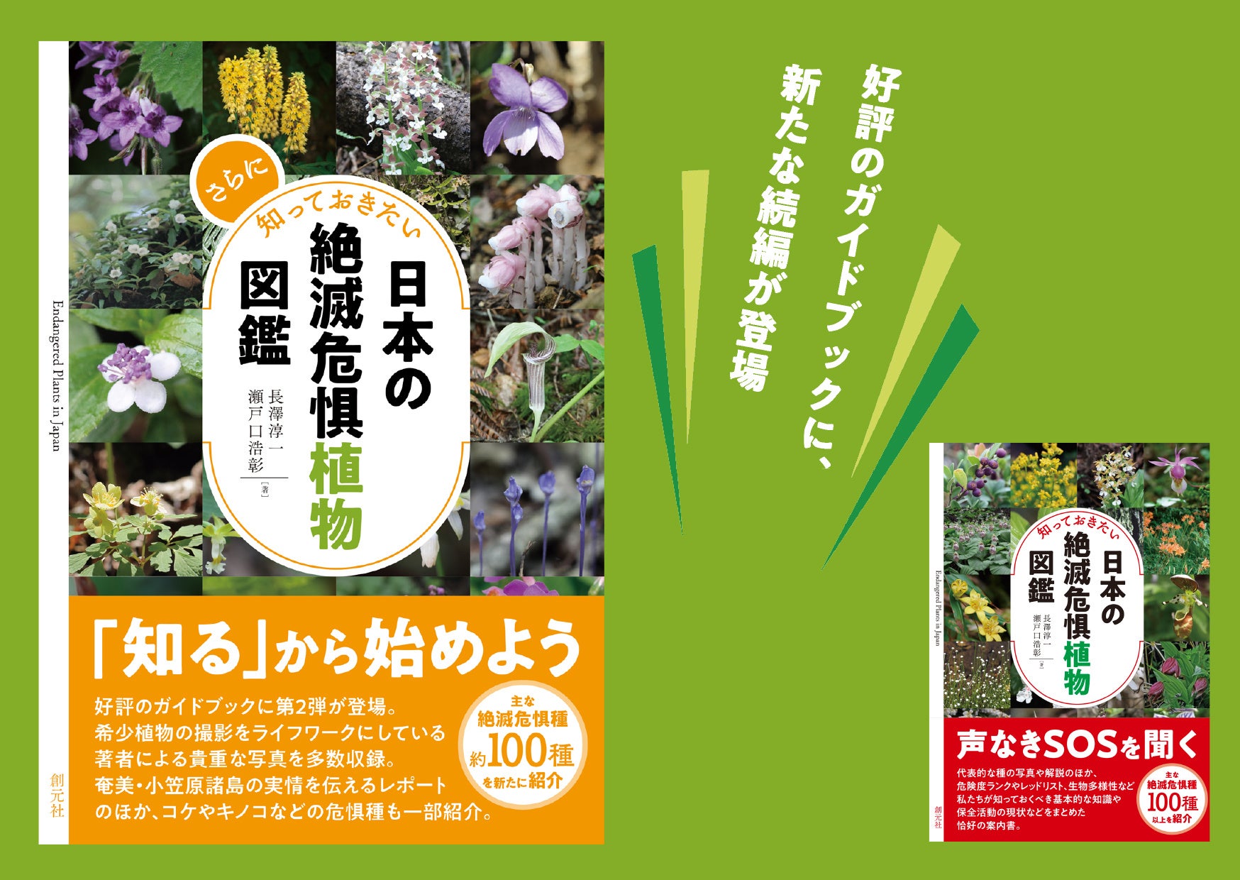日本の絶滅危惧種の半分以上は植物 好評の植物ガイドブックに第2弾が登場 さらに知っておきたい日本の絶滅危惧植物図鑑 が発売 株式会社創元社のプレスリリース 日本の絶滅危惧種の半分以上は植物 好評の植物ガイドブックに第2弾が登場 さらに知っておきたい日本の絶滅危惧植物図鑑 が発売 株式会社創元社のプレスリリース